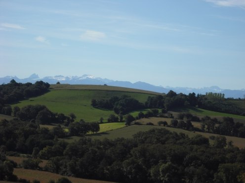 The hills are alive with the sound of music!