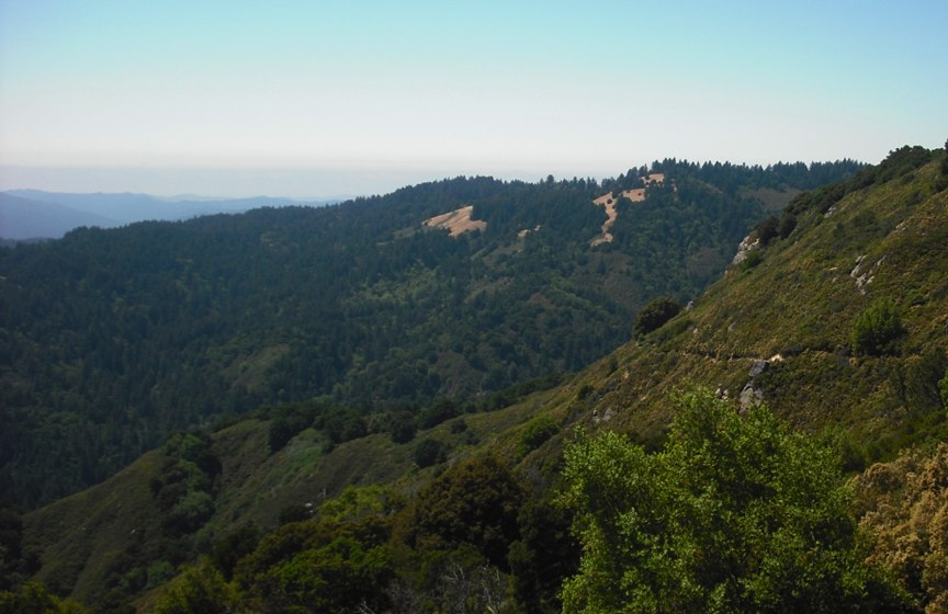 Beautiful views are to be had in the upper portions of the hike.  This is from the Saratoga Gap Trail ... between the Castle Rock parking lot and the Castle Rock Trail Camp.