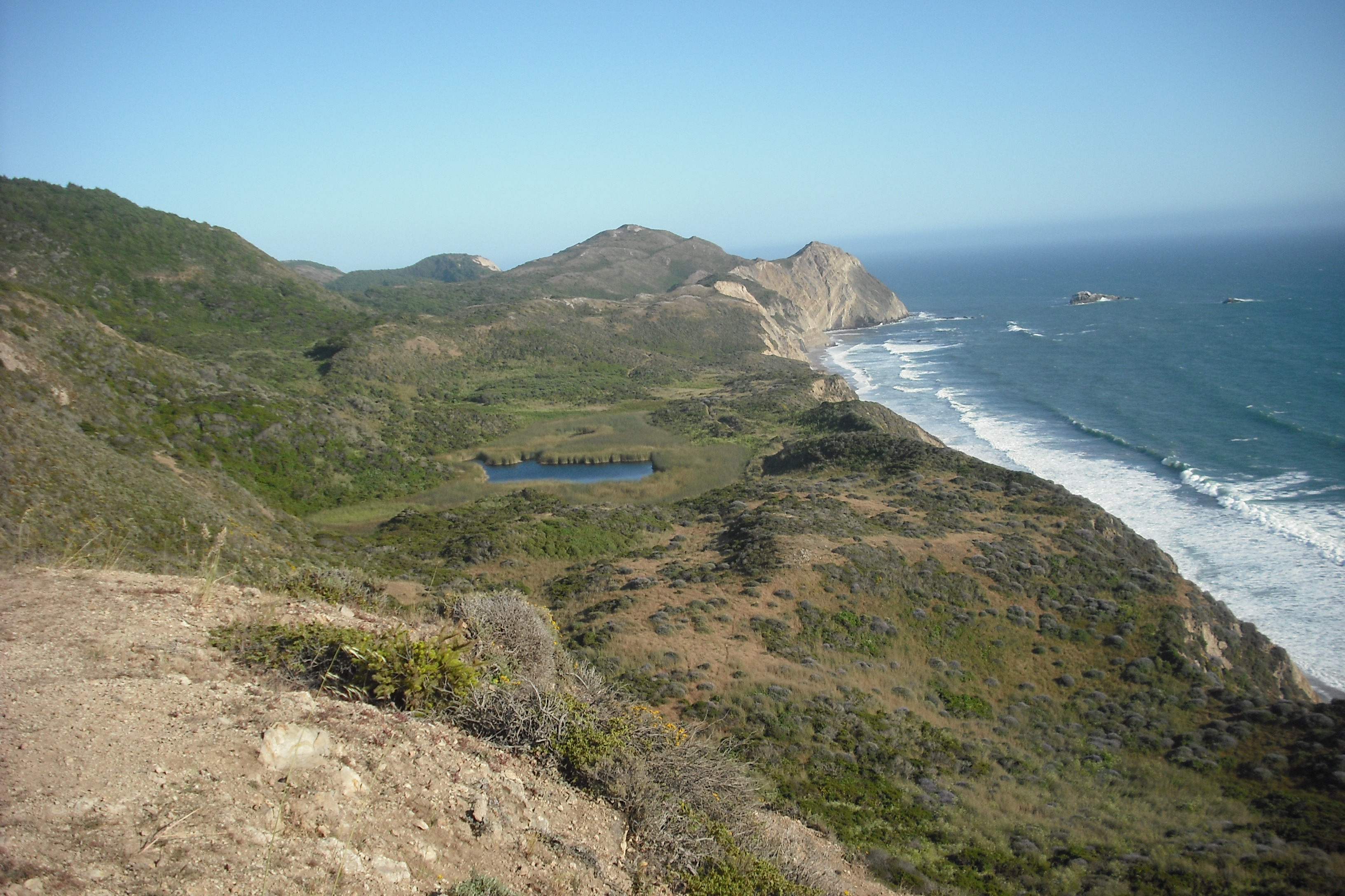 beautiful view of the California coast